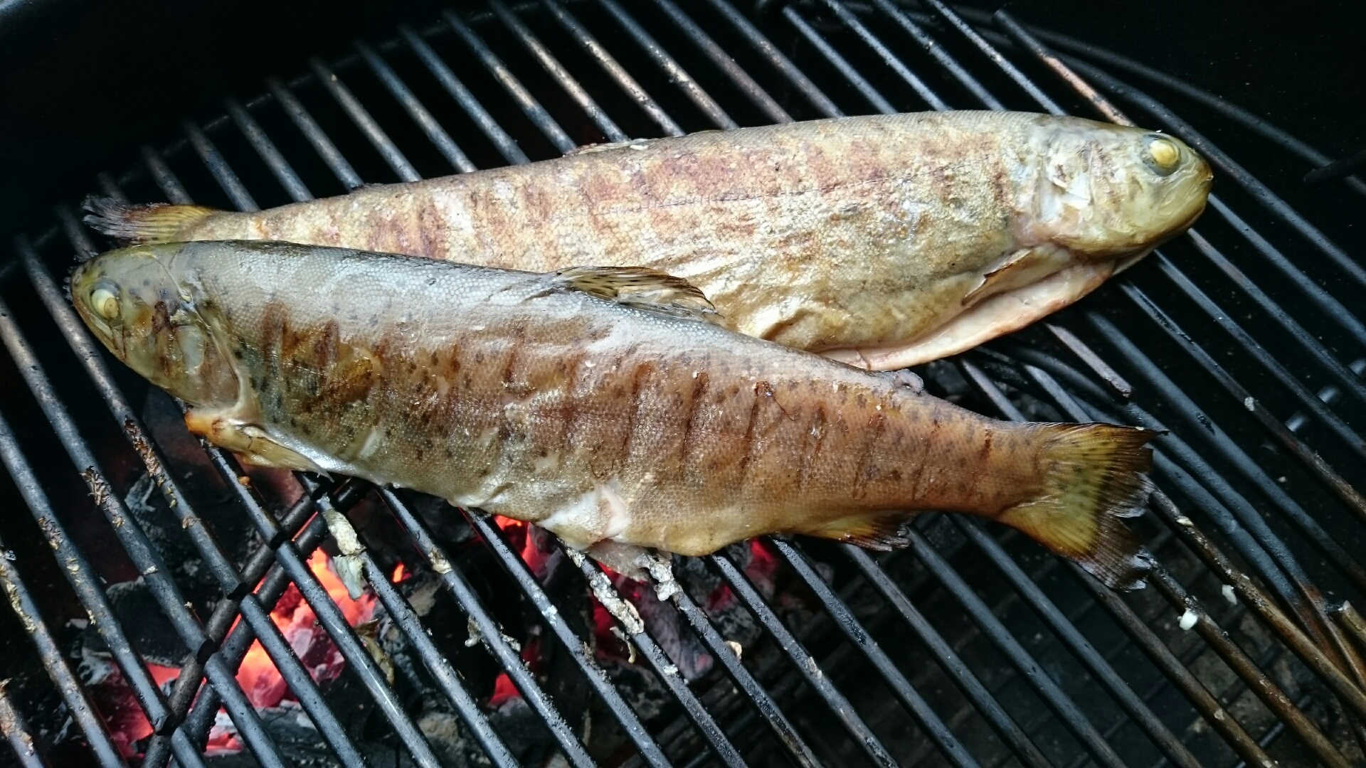 Geräucherte Forelle vom Weber Grill